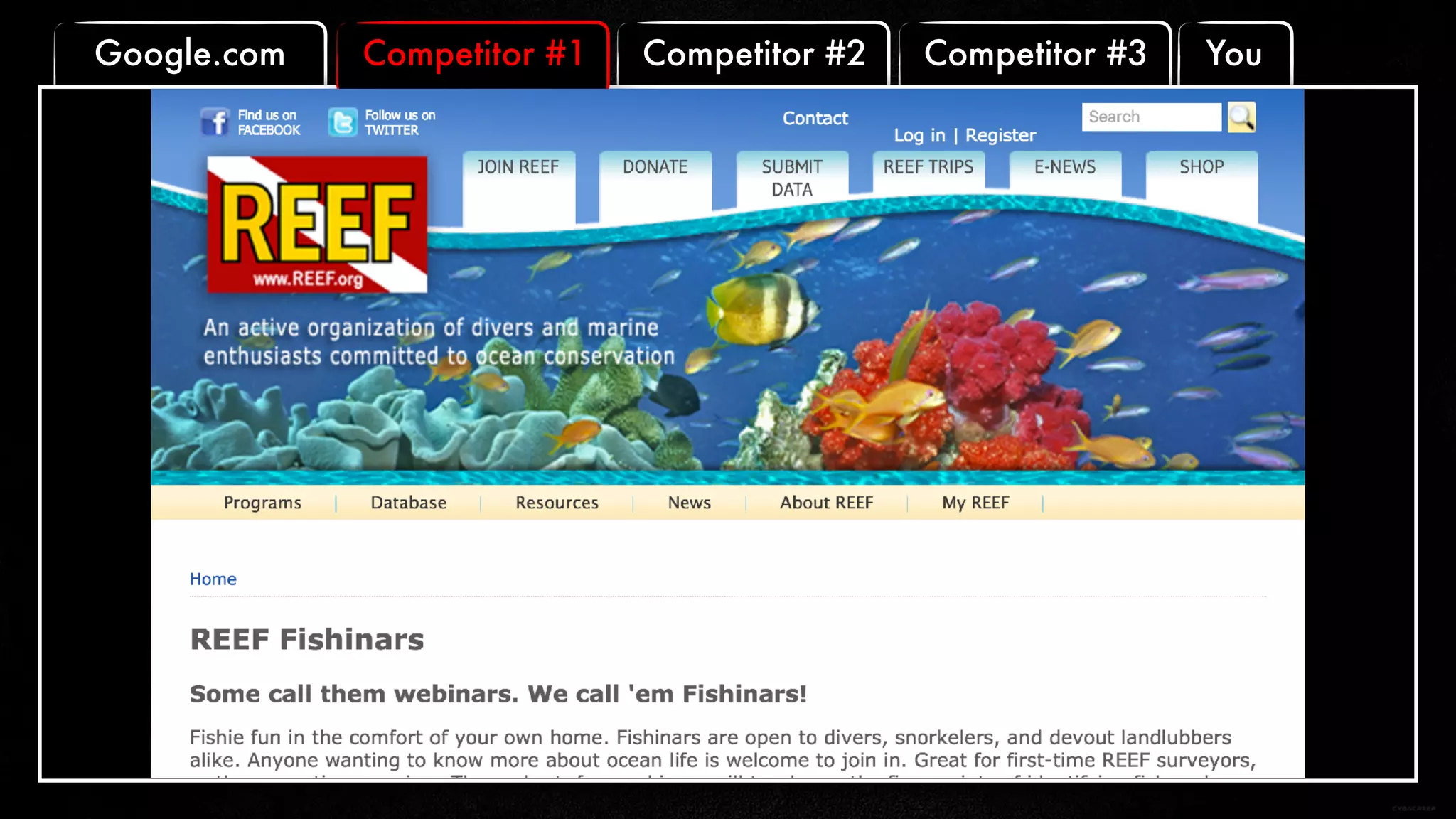 Competitor #3 YouCompetitor #2Competitor #1Google.com
 