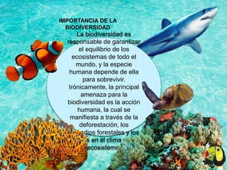 IMPORTANCIA DE LA
BIODIVERSIDAD
La biodiversidad es
responsable de garantizar
el equilibrio de los
ecosistemas de todo el
mundo, y la especie
humana depende de ella
para sobrevivir.
Irónicamente, la principal
amenaza para la
biodiversidad es la acción
humana, la cual se
manifiesta a través de la
deforestación, los
incendios forestales y los
cambios en el clima y en el
ecosistema.
 