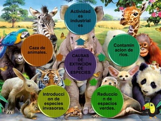 CAUSAS
DE
EXTINCIÓN
DE
ESPECIES
Actividad
es
industrial
es
Contamin
acion de
rios.
Reduccio
n de
espacios
verdes.
Introducci
on de
especies
invasoras.
Caza de
animales.
 