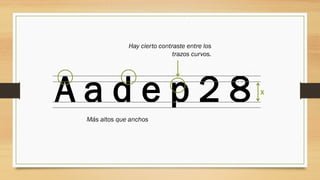A a d e p 2 8
Más altos que anchos
x
Hay cierto contraste entre los
trazos curvos.
 