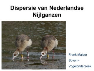 Dispersie van Nederlandse
        Nijlganzen




                   Frank Majoor
                   Sovon -
                   Vogelonderzoek
 