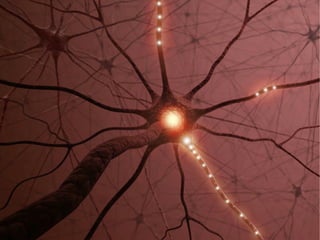 Pecha Kucha: Nebenläufigkeit als natürliches Paradigma