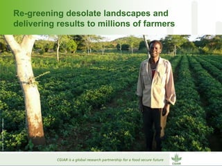 Why dry areas should invest massively in innovation to ensure food security