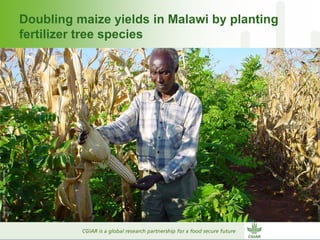 Why dry areas should invest massively in innovation to ensure food security