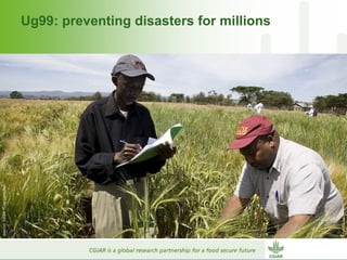 Why dry areas should invest massively in innovation to ensure food security