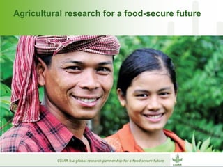 Why dry areas should invest massively in innovation to ensure food security