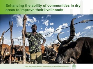 Why dry areas should invest massively in innovation to ensure food security