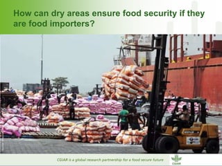 Why dry areas should invest massively in innovation to ensure food security