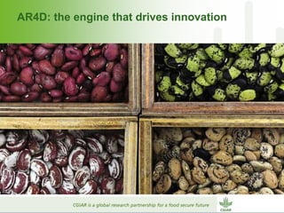 Why dry areas should invest massively in innovation to ensure food security