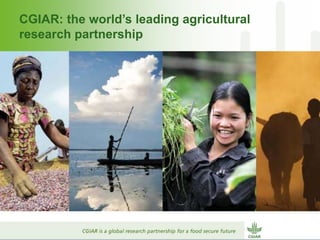 Why dry areas should invest massively in innovation to ensure food security