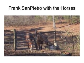 Frank SanPietro with the Horses
 