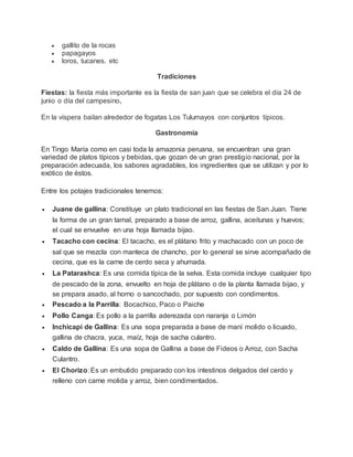  gallito de la rocas
 papagayos
 loros, tucanes. etc
Tradiciones
Fiestas: la fiesta más importante es la fiesta de san juan que se celebra el día 24 de
junio o día del campesino.
En la víspera bailan alrededor de fogatas Los Tulumayos con conjuntos típicos.
Gastronomía
En Tingo María como en casi toda la amazonia peruana, se encuentran una gran
variedad de platos típicos y bebidas, que gozan de un gran prestigio nacional, por la
preparación adecuada, los sabores agradables, los ingredientes que se utilizan y por lo
exótico de éstos.
Entre los potajes tradicionales tenemos:
 Juane de gallina: Constituye un plato tradicional en las fiestas de San Juan. Tiene
la forma de un gran tamal, preparado a base de arroz, gallina, aceitunas y huevos;
el cual se envuelve en una hoja llamada bijao.
 Tacacho con cecina: El tacacho, es el plátano frito y machacado con un poco de
sal que se mezcla con manteca de chancho, por lo general se sirve acompañado de
cecina, que es la carne de cerdo seca y ahumada.
 La Patarashca: Es una comida típica de la selva. Esta comida incluye cualquier tipo
de pescado de la zona, envuelto en hoja de plátano o de la planta llamada bijao, y
se prepara asado, al horno o sancochado, por supuesto con condimentos.
 Pescado a la Parrilla: Bocachico, Paco o Paiche
 Pollo Canga: Es pollo a la parrilla aderezada con naranja o Limón
 Inchicapi de Gallina: Es una sopa preparada a base de maní molido o licuado,
gallina de chacra, yuca, maíz, hoja de sacha culantro.
 Caldo de Gallina: Es una sopa de Gallina a base de Fideos o Arroz, con Sacha
Culantro.
 El Chorizo: Es un embutido preparado con los intestinos delgados del cerdo y
relleno con carne molida y arroz, bien condimentados.
 