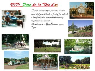 VIII_Parc de la Tête d'or
This is an animal free parc who you can
comewith your friends or family for walk ,do
a lot of activities or watch theamazing
vegetation and animals .
The adresse is 33 Rue Bossuet, 69006
Lyon
 