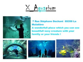 X_Aquarium
7 Rue Stéphane Dechant 69350 La
Mulatière
A wonderfull place which you can see
beautifull navy creature with your
familly or your friends !
 