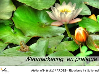 Webmarketing  en pratique  Atelier n°9  (suite) / ARDESI- Etourisme institutionnel 