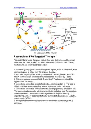 FRα Another Hot Target In The ADC Field.pdf