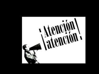 Franquicia montalvo spa