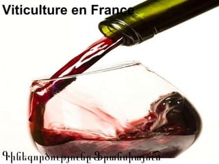 Viticulture en France Գին եգործությունը   Ֆրանսիայում  