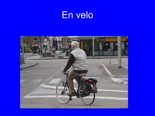 En velo
 