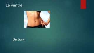 Le ventre
De buik
 