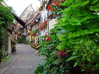 eguisheim
 