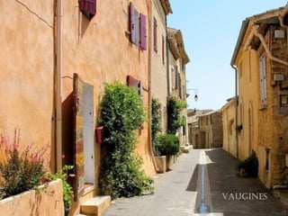 VaugiNes
 