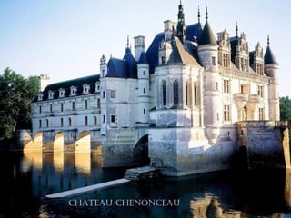 chateau cheNoNceau
 
