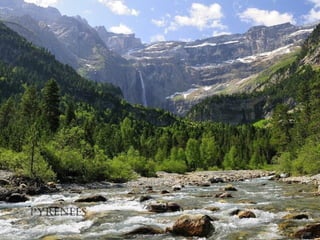 PyréNées
 