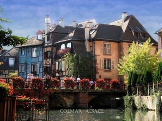 colmar alsace
 