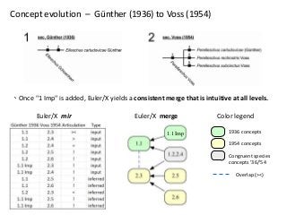 Concept evolution – Günther (1936) to Voss (1954)

Once "1 Imp" is added, Euler/X yields a consistent merge that is intuit...