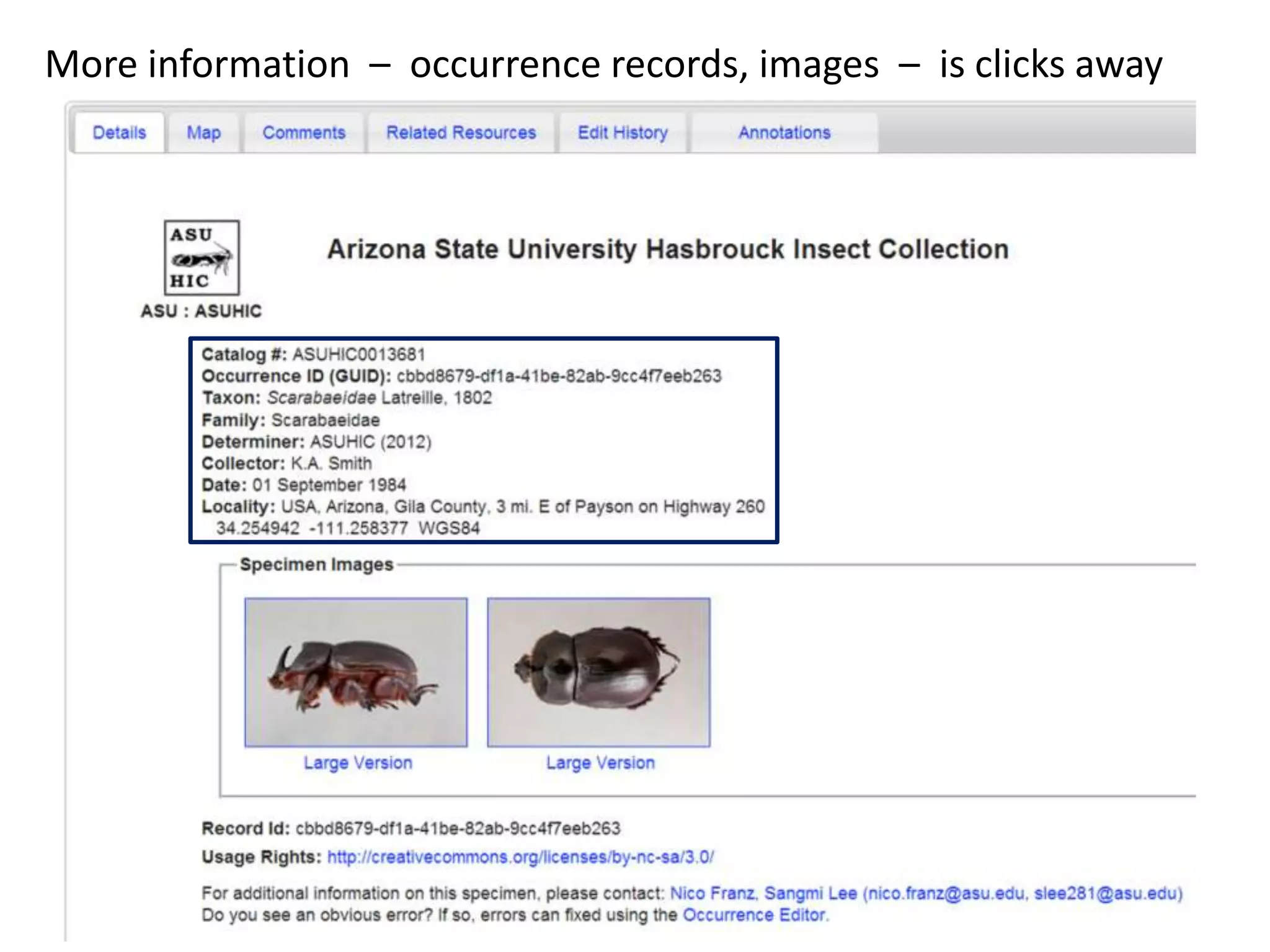 More information – occurrence records, images – is clicks away

 