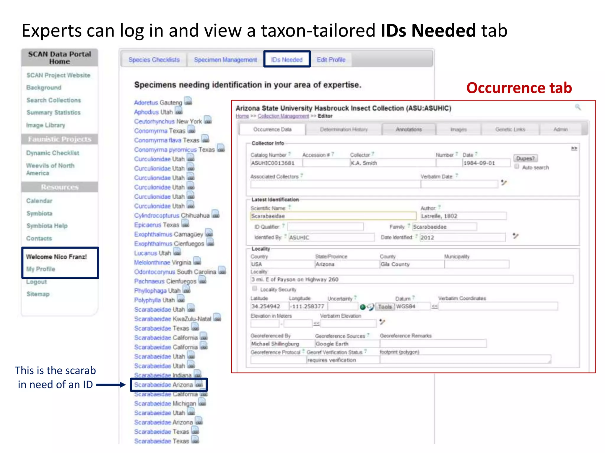 Experts can log in and view a taxon-tailored IDs Needed tab
Occurrence tab

This is the scarab
in need of an ID

 