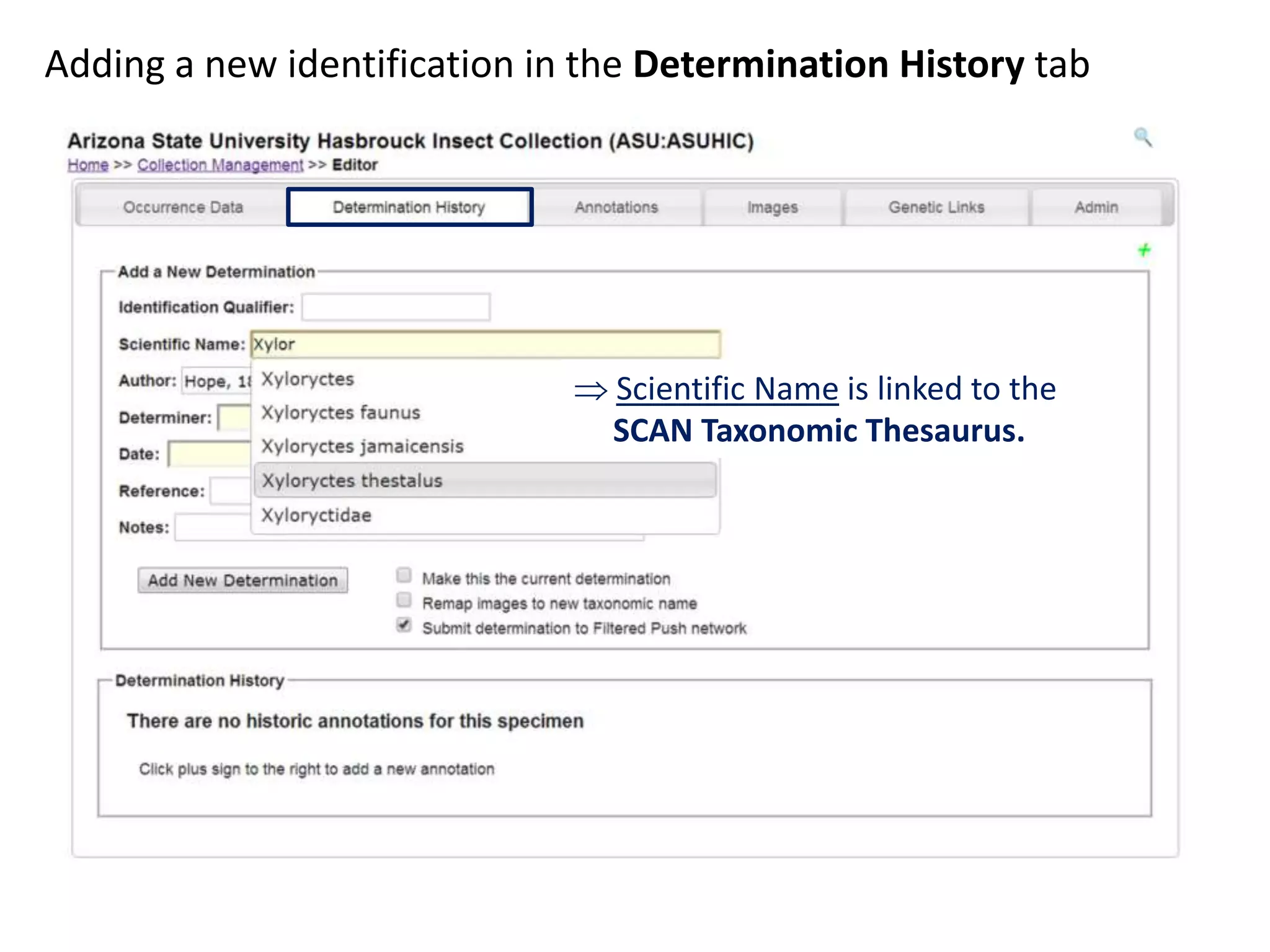 Adding a new identification in the Determination History tab

 Scientific Name is linked to the
SCAN Taxonomic Thesaurus.

 