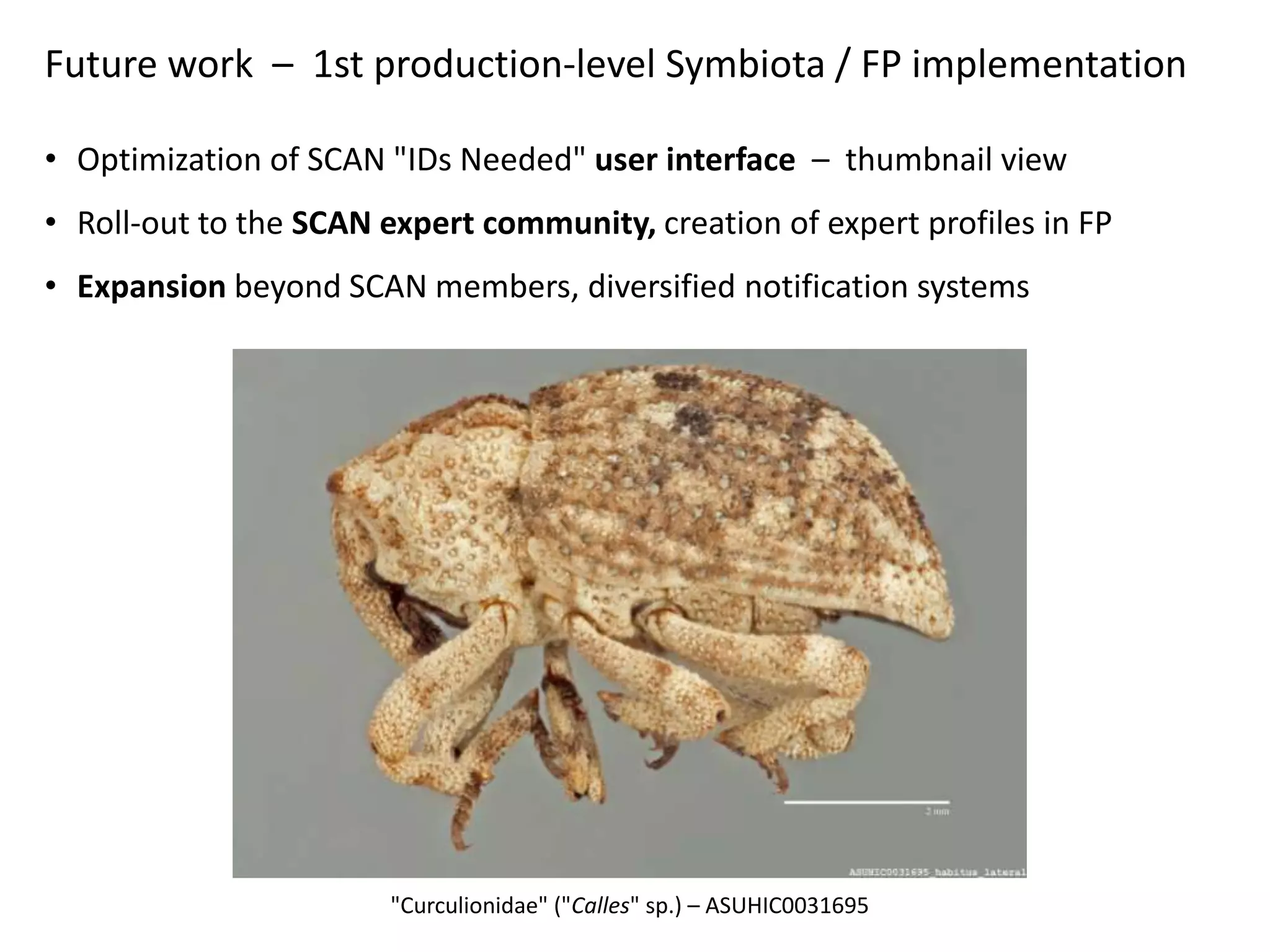 Future work – 1st production-level Symbiota / FP implementation
• Optimization of SCAN "IDs Needed" user interface – thumbnail view
• Roll-out to the SCAN expert community, creation of expert profiles in FP
• Expansion beyond SCAN members, diversified notification systems

"Curculionidae" ("Calles" sp.) – ASUHIC0031695

 
