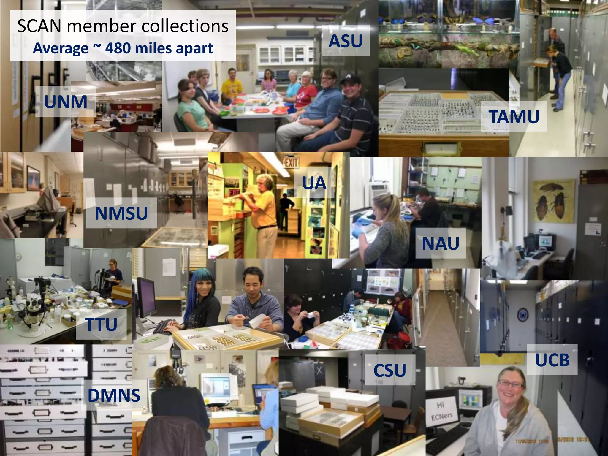 SCAN member collections

ASU

Average ~ 480 miles apart

UNM

TAMU
UA
NMSU
NAU

TTU
CSU
DMNS

UCB

 