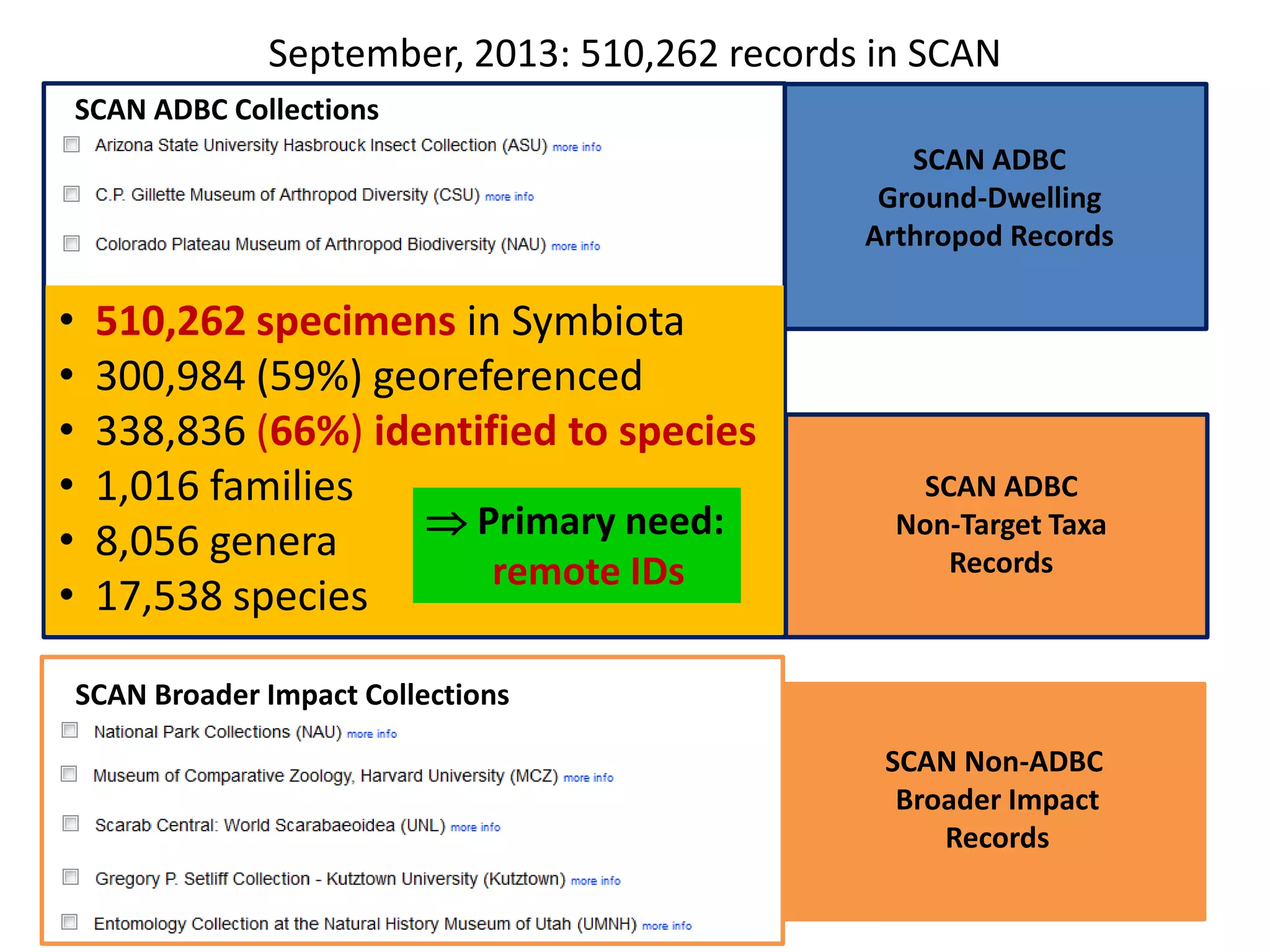 September, 2013: 510,262 records in SCAN
SCAN ADBC Collections
SCAN ADBC
Ground-Dwelling
Arthropod Records

•
•
•
•
•
•

510,262 specimens in Symbiota
300,984 (59%) georeferenced
338,836 (66%) identified to species
1,016 families
 Primary need:
8,056 genera
remote IDs
17,538 species

SCAN ADBC
Non-Target Taxa
Records

SCAN Broader Impact Collections

SCAN Non-ADBC
Broader Impact
Records

 
