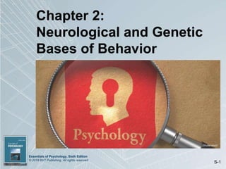 Essentials of Psychology, Sixth Edition
© 2018 BVT Publishing. All rights reserved.
S-1
Chapter 2:
Neurological and Genetic
Bases of Behavior
(Shutterstock)
 