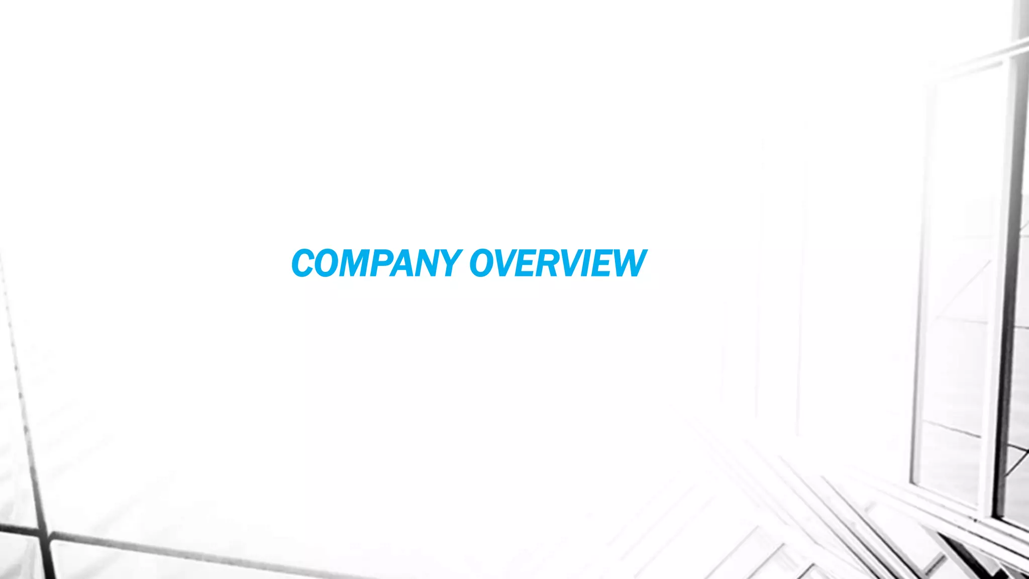COMPANY OVERVIEW
 