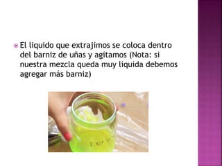  El liquido que extrajimos se coloca dentro
del barniz de uñas y agitamos (Nota: si
nuestra mezcla queda muy liquida debemos
agregar más barniz)
 