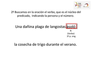2º Buscamos en la oración el verbo, que es el núcleo del
predicado, indicando la persona y el número.
Una dañina plaga de ...