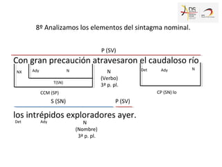 Con gran precaución atravesaron el caudaloso río
los intrépidos exploradores ayer.
S (SN)
P (SV)
N
(Verbo)
3ª p. pl.
N
(Nombre)
3ª p. pl.
P (SV)
Det
NX N
CCM (SP)
T(SN)
Ady
CP (SN) lo
8º Analizamos los elementos del sintagma nominal.
Det NAdy
Ady
 