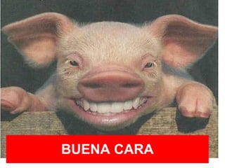 BUENA CARA 