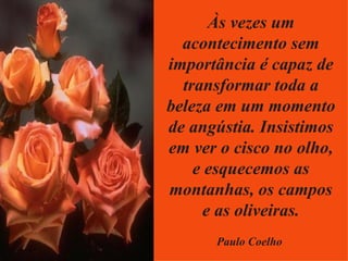 Às vezes um acontecimento sem importância é capaz de transformar toda a beleza em um momento de angústia. Insistimos em ver o cisco no olho, e esquecemos as montanhas, os campos e as oliveiras. Paulo Coelho 