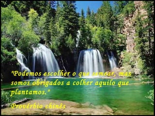 "Podemos escolher o que semear, mas
somos obrigados a colher aquilo que
plantamos."
Provérbio chinês
 