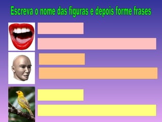 BOCA

A BOCA DA MULHER

CABEÇA

A CABEÇA DO HOMEM


PASSARINHO

O PASSARINHO VOA
 