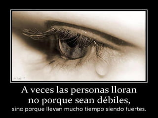 Frases
