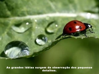 As grandes idéias surgem da observação dos pequenos
detalhes.
 