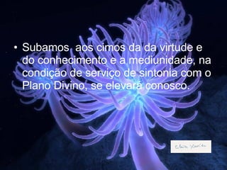 Subamos  aos cimos da da virtude e do conhecimento e a mediunidade, na condição de serviço de sintonia com o Plano Divino, se elevará conosco. 