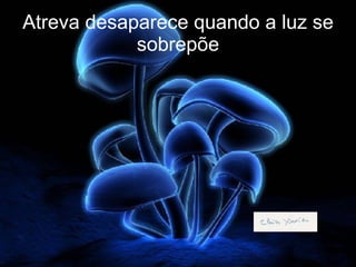 Atreva desaparece quando a luz se sobrepõe 