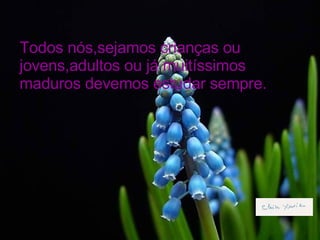 Todos nós,sejamos crianças ou jovens,adultos ou já muitíssimos maduros devemos estudar sempre.  